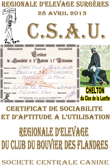 CHELTON du Clos de la Luette ©